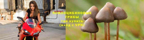 прущая мука Надым