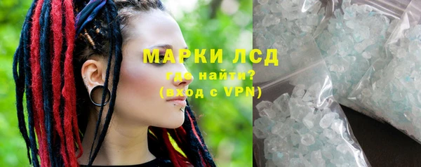 прущие грибы Нея