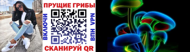 наркотики  Янаул  Галлюциногенные грибы Magic Shrooms 
